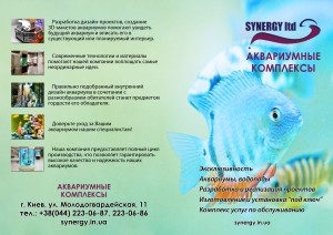 20130428194526-361848-synergy-ltd    